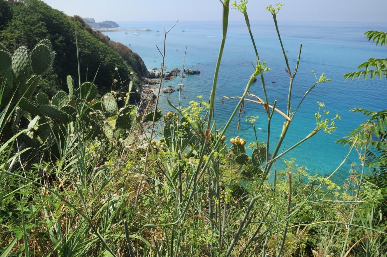 Apartamento Il Limoneto 2, Casa Vacanze Parghelia-Tropea Exterior foto